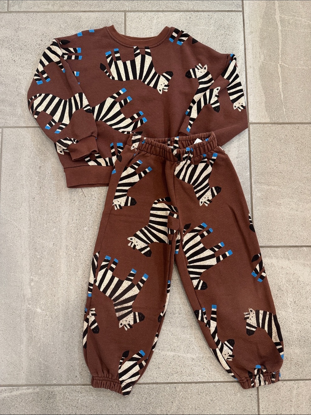 Zara Boys Brown Zebra Print Sweatshirt & Jogger Set, Sz 6 Years
